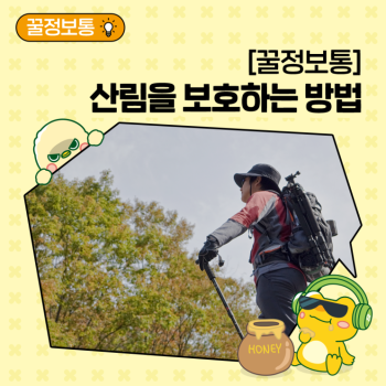 꿀정보통 산의 날 산림을 보호하는 방법 Feat 탄소흡수원 보호 등산 안전수칙